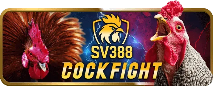Giao diện đặt cược đá gà trực tuyến thân thiện tại 68bet code